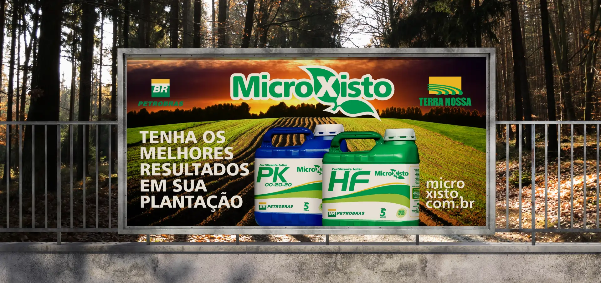 MICROXISTO-06.webp