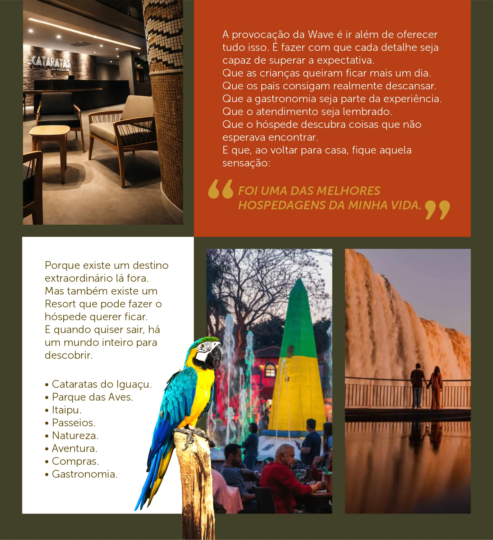 PROJETO-ECO-03.webp